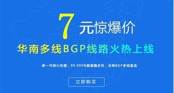云服务商选择与因私出入境中介服务的数字化考量